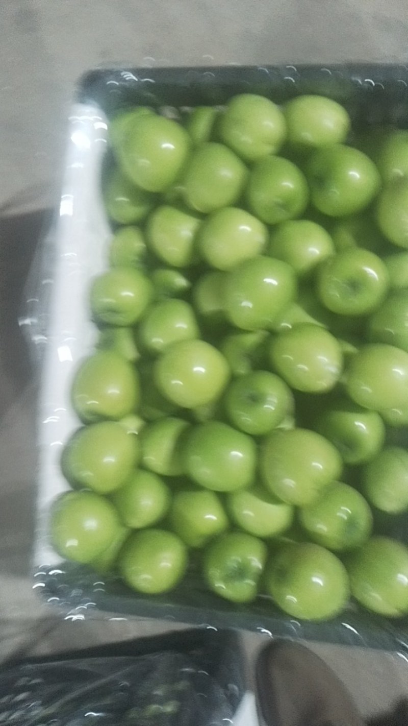 云南天密青枣