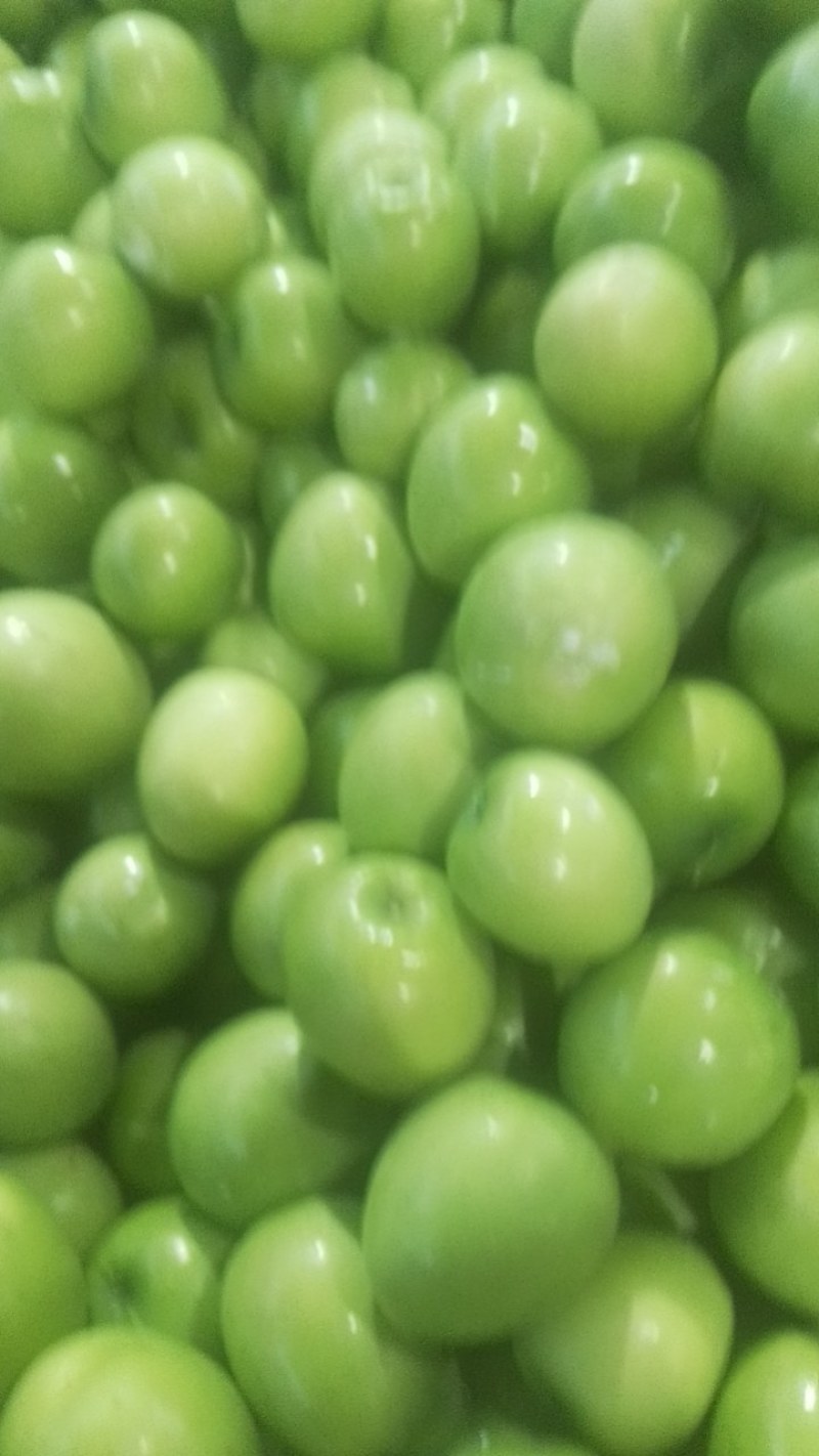 云南天密青枣