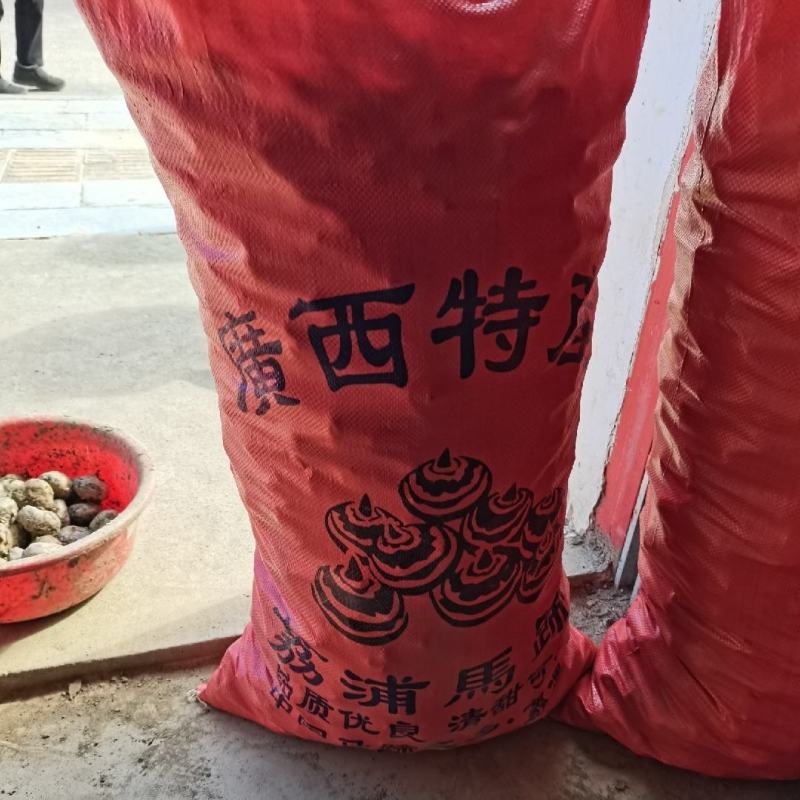 千亩新现挖马蹄荸荠发全国！对接工厂市场电商不满意包退