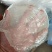 批发各种国产海蜇，一手货源，质优廉价，供应酒店，市场