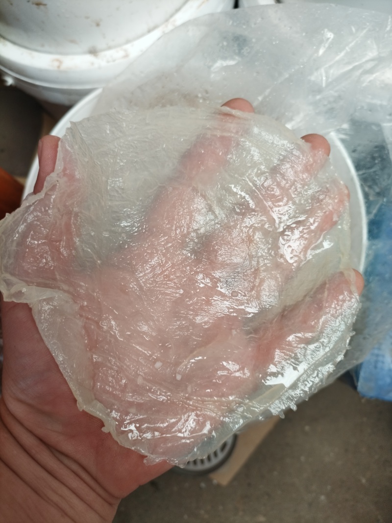 批发各种国产海蜇，一手货源，质优廉价，供应酒店，市场