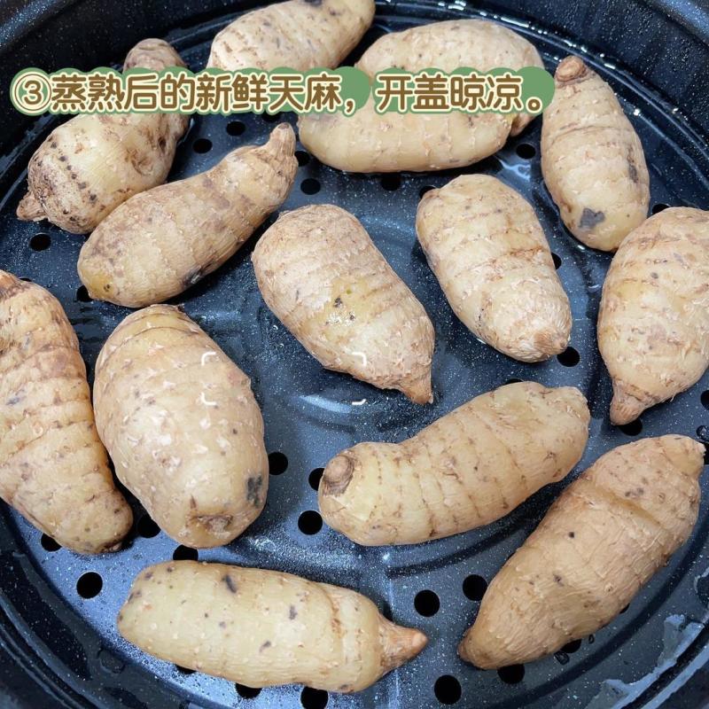 四川天麻新鲜天麻一手货源产地直发可视频看货