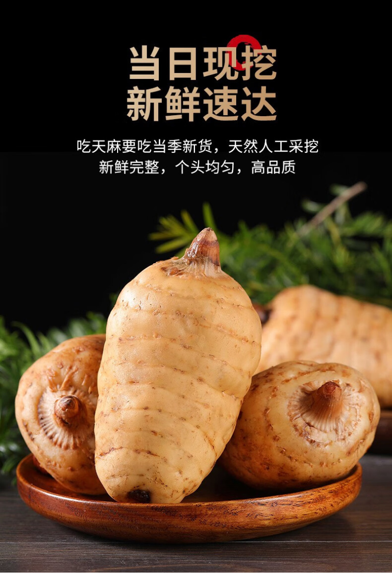 四川天麻新鲜天麻一手货源产地直发可视频看货