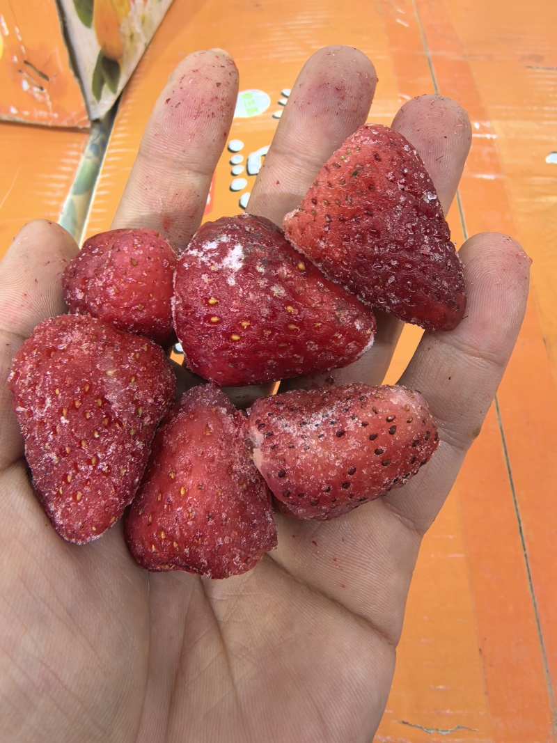 【东港九九草莓】冷冻草莓颗粒，冰冻草莓原料，草莓罐头原料