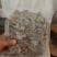 蚂蚱基地优选蚂蚱蝗虫长期供应可视频看货全国发货