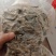 蚂蚱基地优选蚂蚱蝗虫长期供应可视频看货全国发货