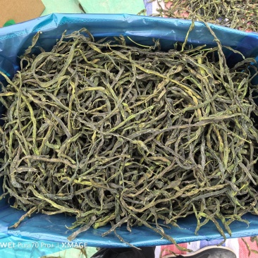 精品二级架豆王