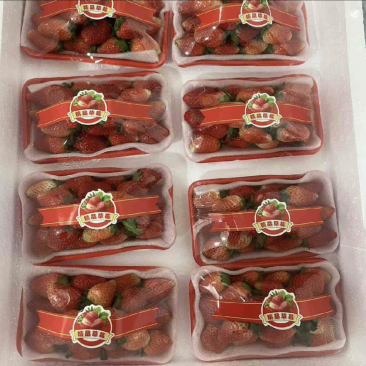 阜阳闻集草莓