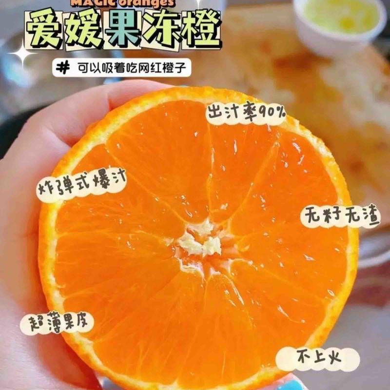 「牛商优选」爱媛橙大量上市对接全国皮薄多汁欢迎致电选购