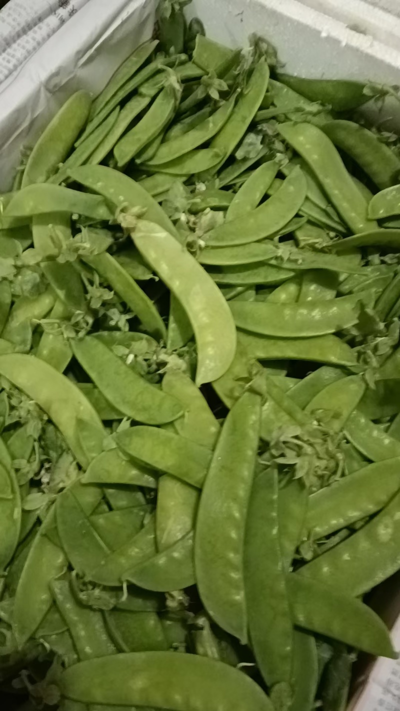 荷兰豆，万亩基地，供市场电商平台，生鲜配送，有各种包装