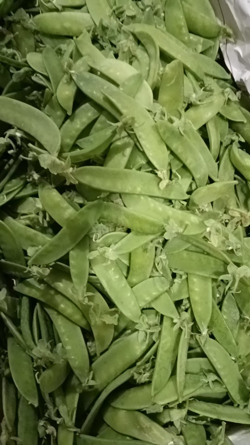荷兰豆，万亩基地，供市场电商平台，生鲜配送，有各种包装