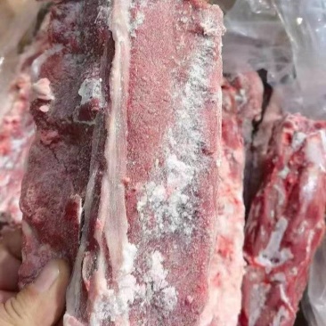 羊蝎子满肉羊蝎子羊脊骨羊脖骨内蒙羊蝎子羔羊羊蝎子