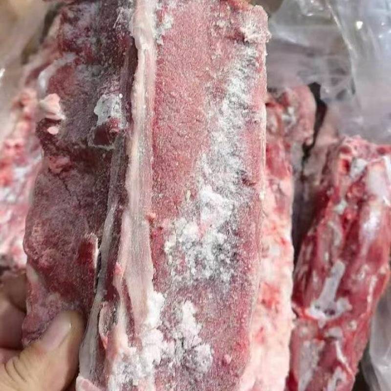 羊蝎子满肉羊蝎子羊脊骨羊脖骨内蒙羊蝎子羔羊羊蝎子