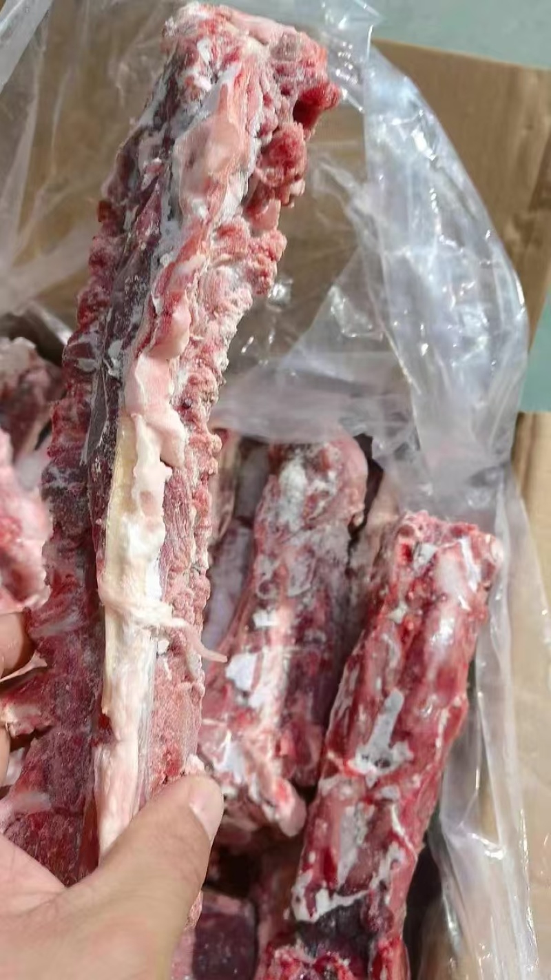 羊蝎子满肉羊蝎子羊脊骨羊脖骨内蒙羊蝎子羔羊羊蝎子