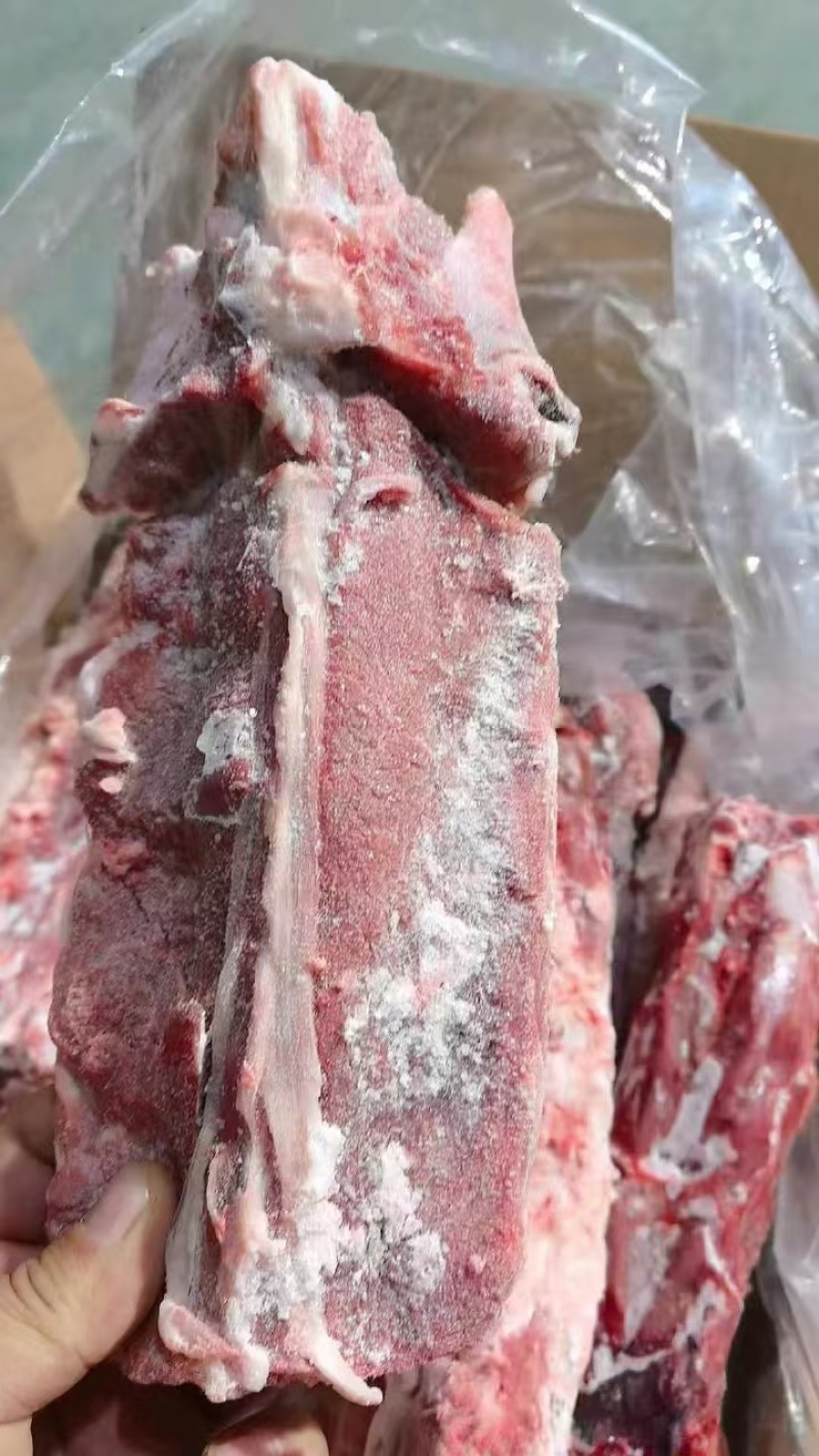 羊蝎子满肉羊蝎子羊脊骨羊脖骨内蒙羊蝎子羔羊羊蝎子