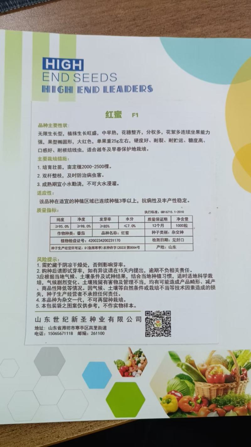 特色小番茄苗口感小番茄水果小番茄苗圣女果苗子山东潍坊寿光