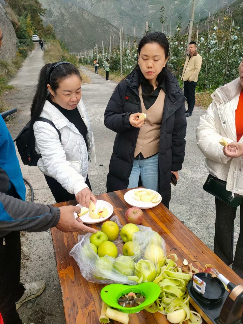 陕西红富士苹果，瑞雪苹果，瑞香红苹果，货源充足价格合理。