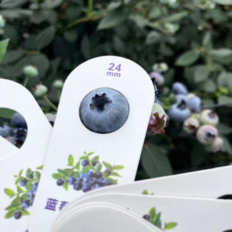 云南蓝莓一件代发，电商，团购，市场