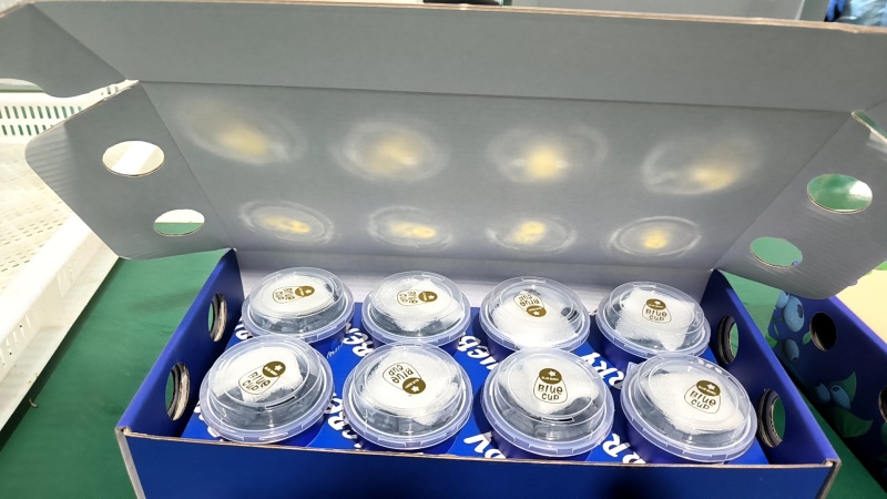 云南蓝莓一件代发，电商，团购，市场