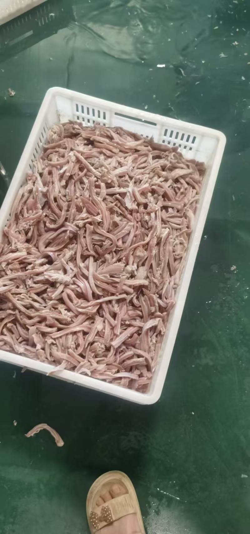 纯干猪肚丝