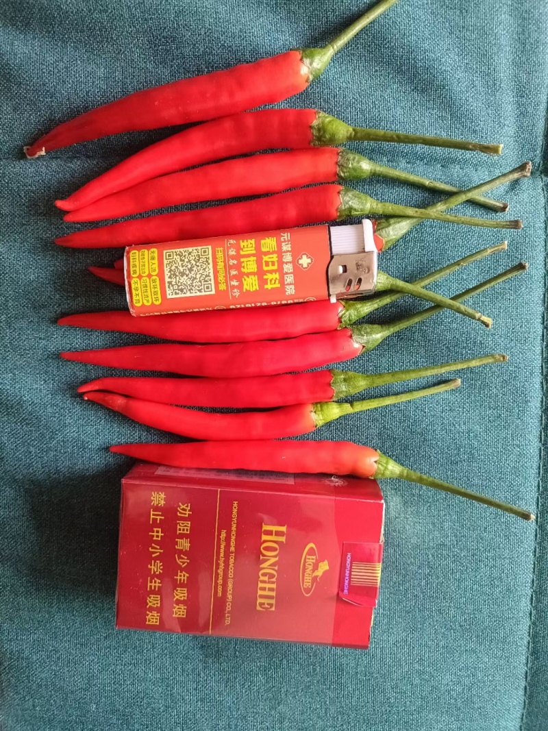 精品小米椒