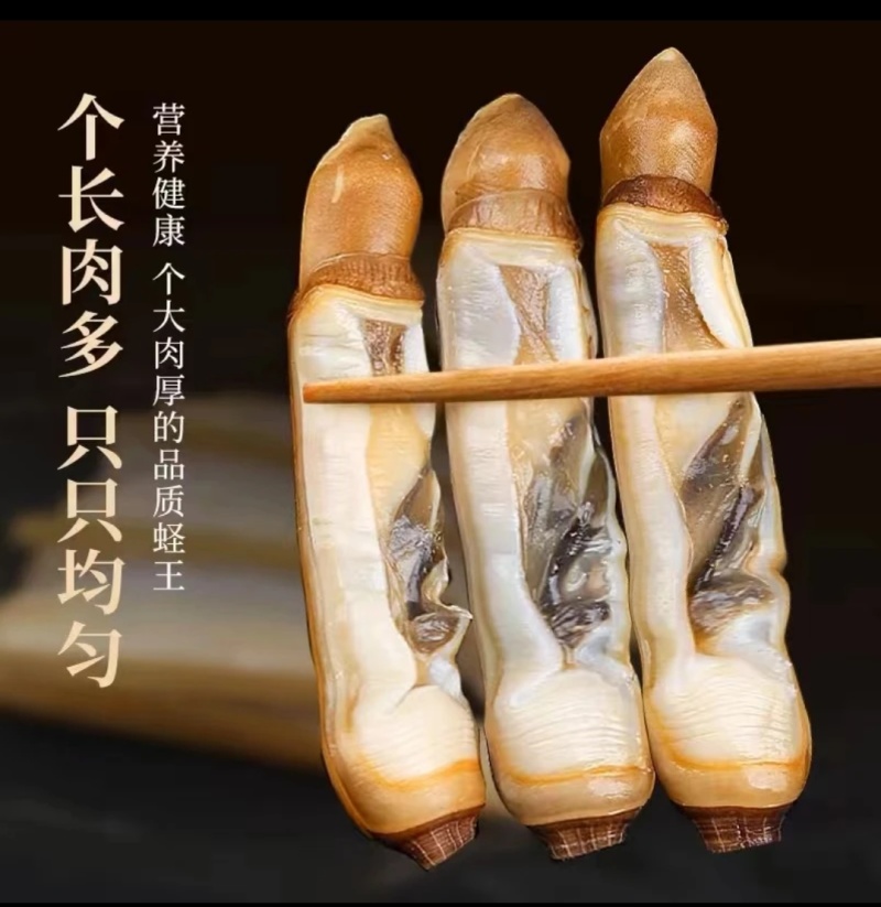 无沙大蛏王肉大量供应，新鲜发货，厂家直发，量大从优。