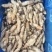无沙大蛏王肉大量供应，新鲜发货，厂家直发，量大从优。