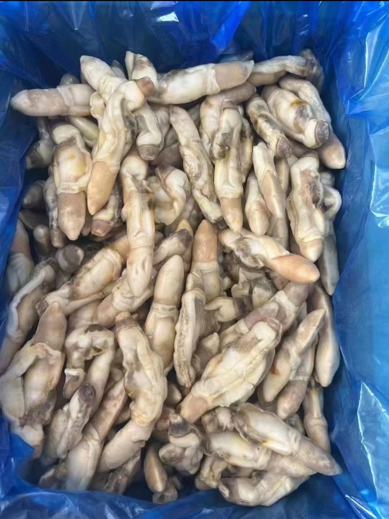 无沙大蛏王肉大量供应，新鲜发货，厂家直发，量大从优。