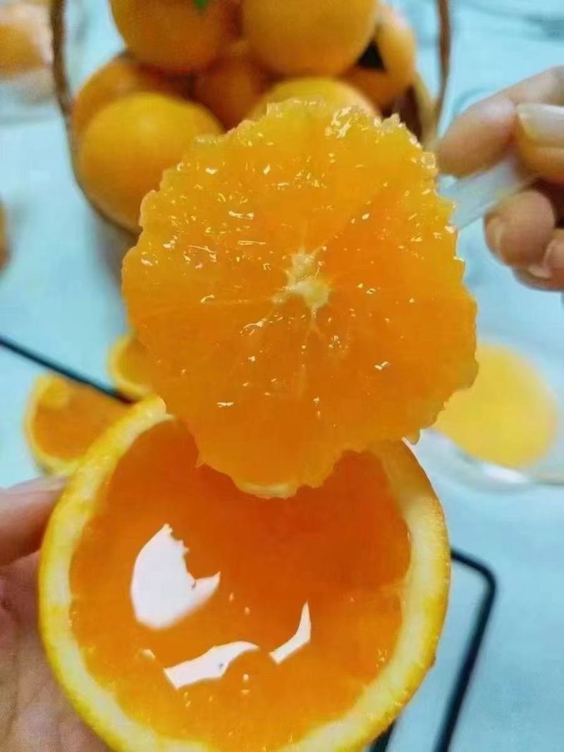 九月红脐橙大量供应，货源充足，量大从优，对接全国市场，