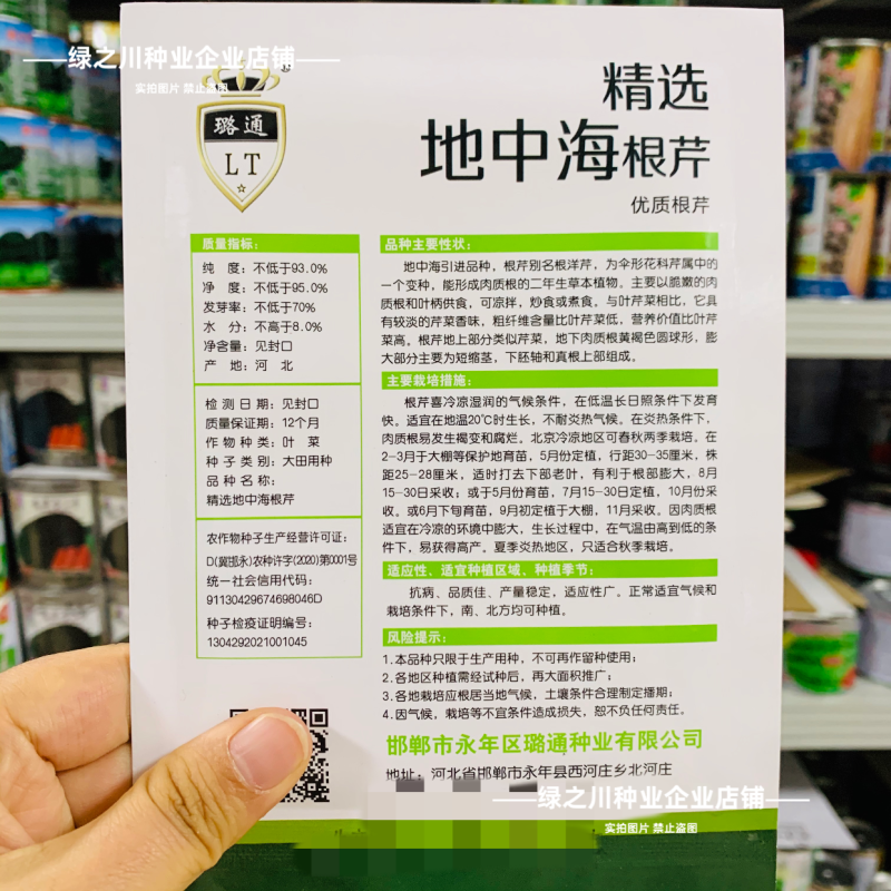 地中海根芹种子二年生蔬菜种子根洋芹芹菜种子球茎芹菜根种籽