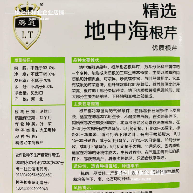地中海根芹种子二年生蔬菜种子根洋芹芹菜种子球茎芹菜根种籽