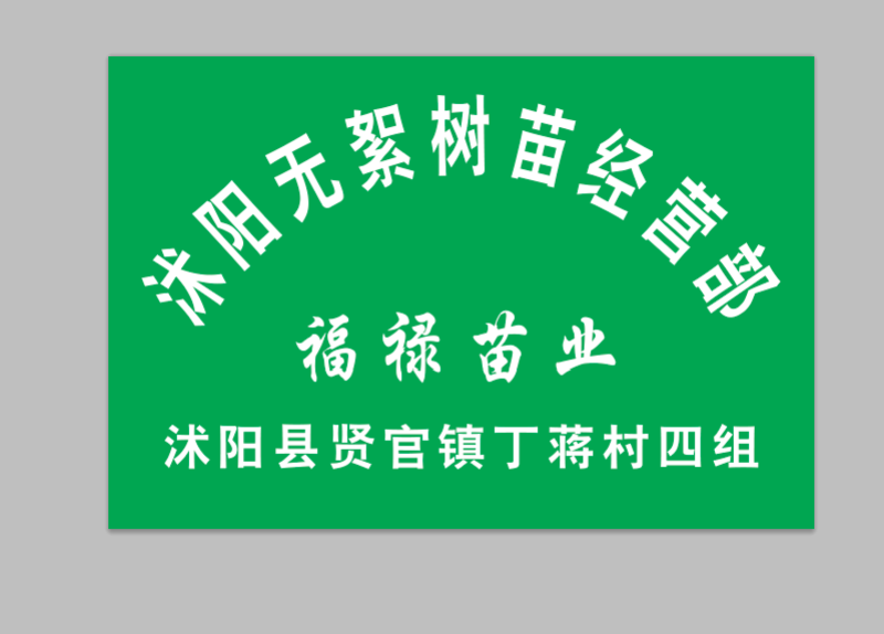 无絮美洲速生杨，雄性南林3412和3804