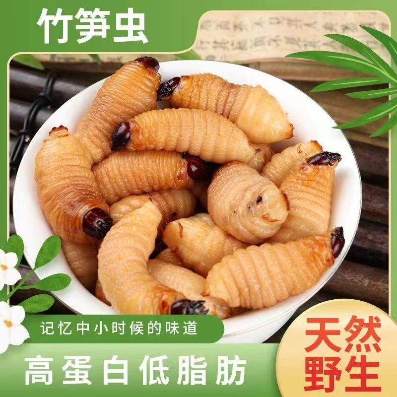 笋蛹竹笋虫新鲜冷冻常年供应品质好价格低对接酒店餐