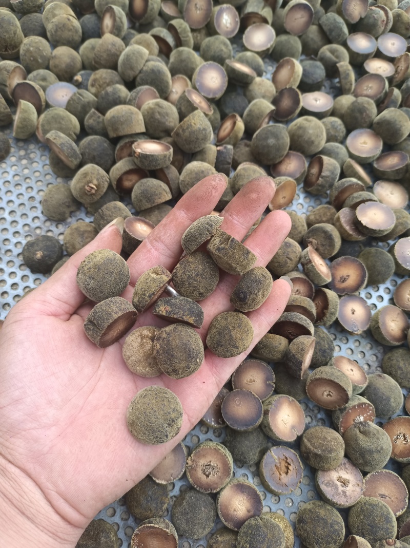 正宗化州橘红两头果，产地直销，有需要的老板请联系我！