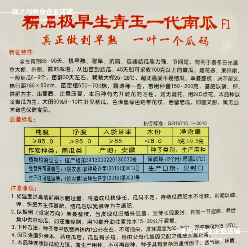 纯黑七叶南瓜种子极早熟青玉一代南瓜种籽老瓜面甜嫩南瓜种子