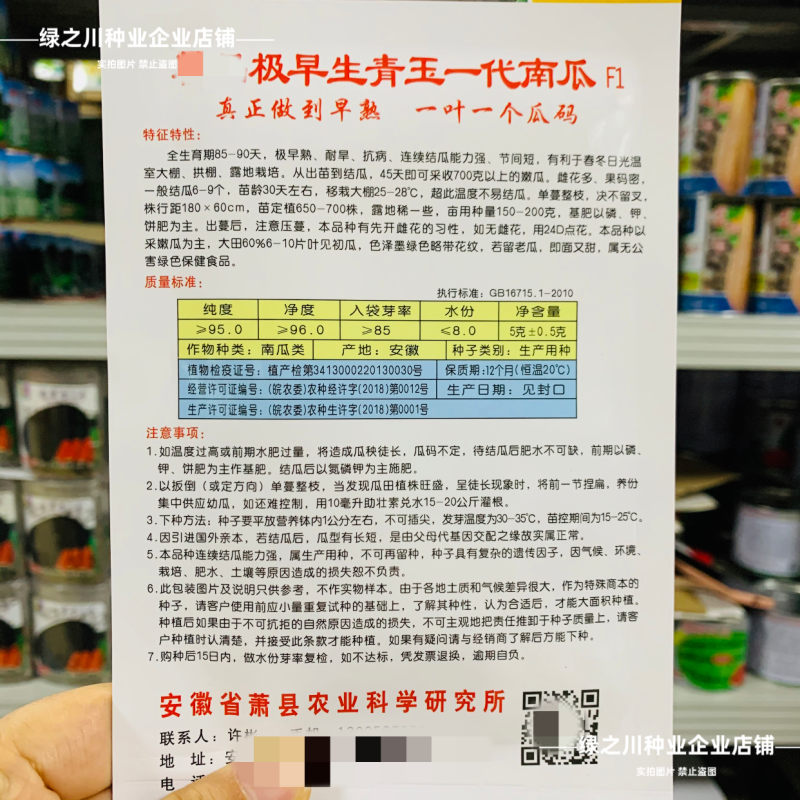 纯黑七叶南瓜种子极早熟青玉一代南瓜种籽老瓜面甜嫩南瓜种子
