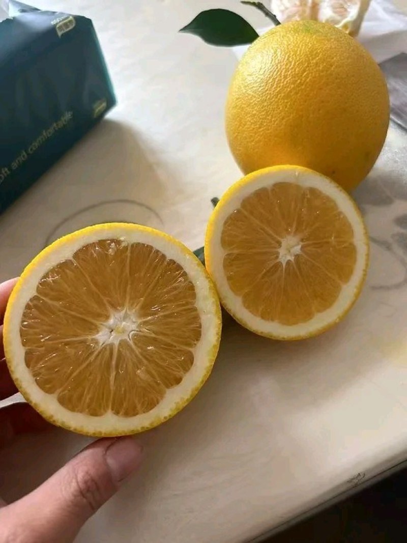 江西正宗脐橙之乡赣南脐橙