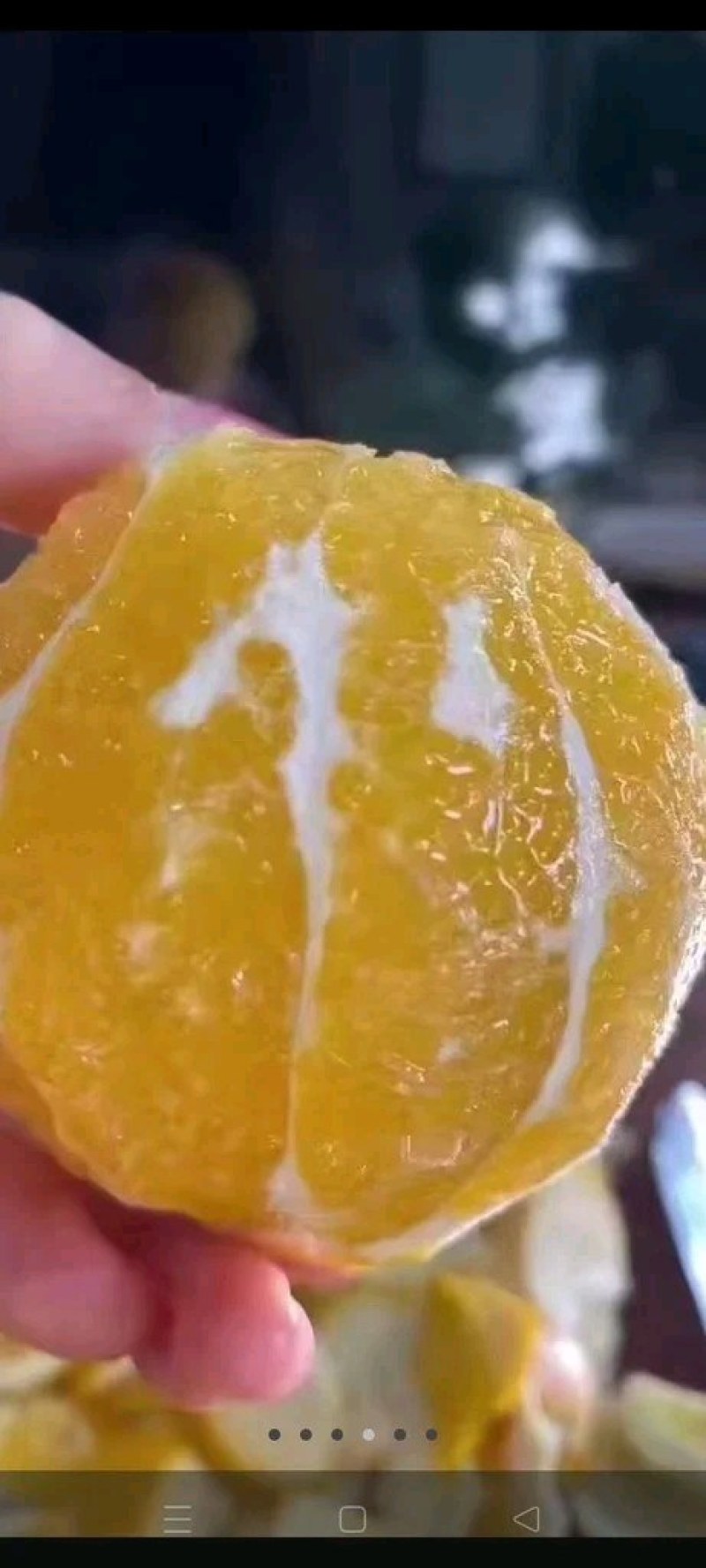 江西正宗脐橙之乡赣南脐橙