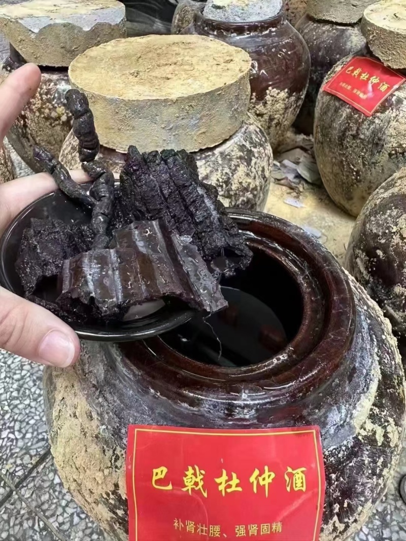 正宗韶关翁源地窖酒十斤装，都是三年以上的各种地窖酒招代理