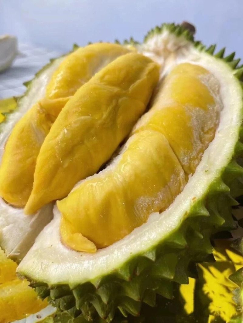 液氮猫山王D197马来西亚产地直供品质保证