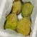 液氮猫山王D197马来西亚产地直供品质保证