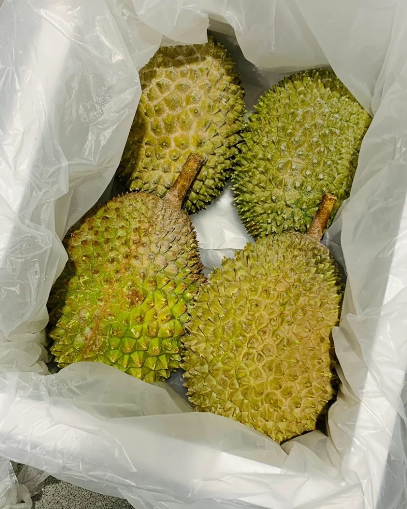 液氮猫山王D197马来西亚产地直供品质保证