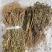 水黄连水灵芝草货源充足保真保量