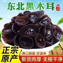 黑木耳精选小片耳碗耳、中片耳、大片耳，产地批品质保证