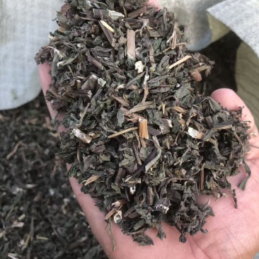 墨汉莲，青叶红杆，过筛子，今年新。可以看一下图和小视频。
