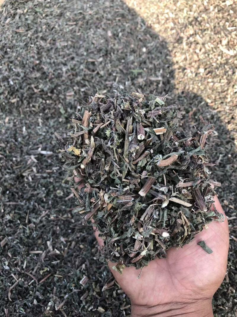 墨汉莲，青叶红杆，过筛子，今年新。可以看一下图和小视频。