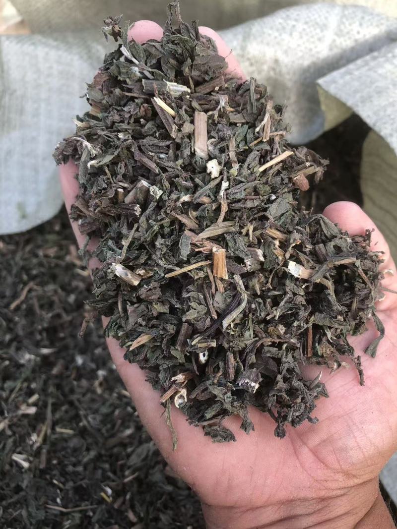 墨汉莲，青叶红杆，过筛子，今年新。可以看一下图和小视频。