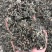 墨汉莲，青叶红杆，过筛子，今年新。可以看一下图和小视频。