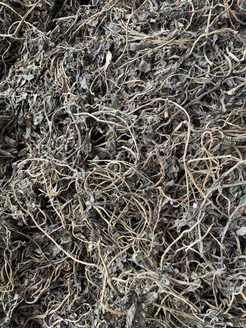 马齿苋，前期嫩，可以包包子，包饺子。大家可以看一下小视频和图