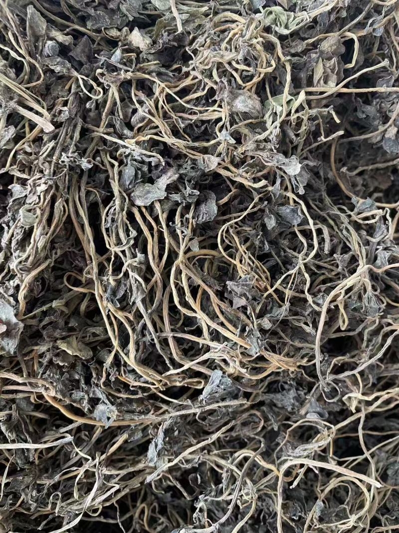马齿苋，前期嫩，可以包包子，包饺子。大家可以看一下小视频和图